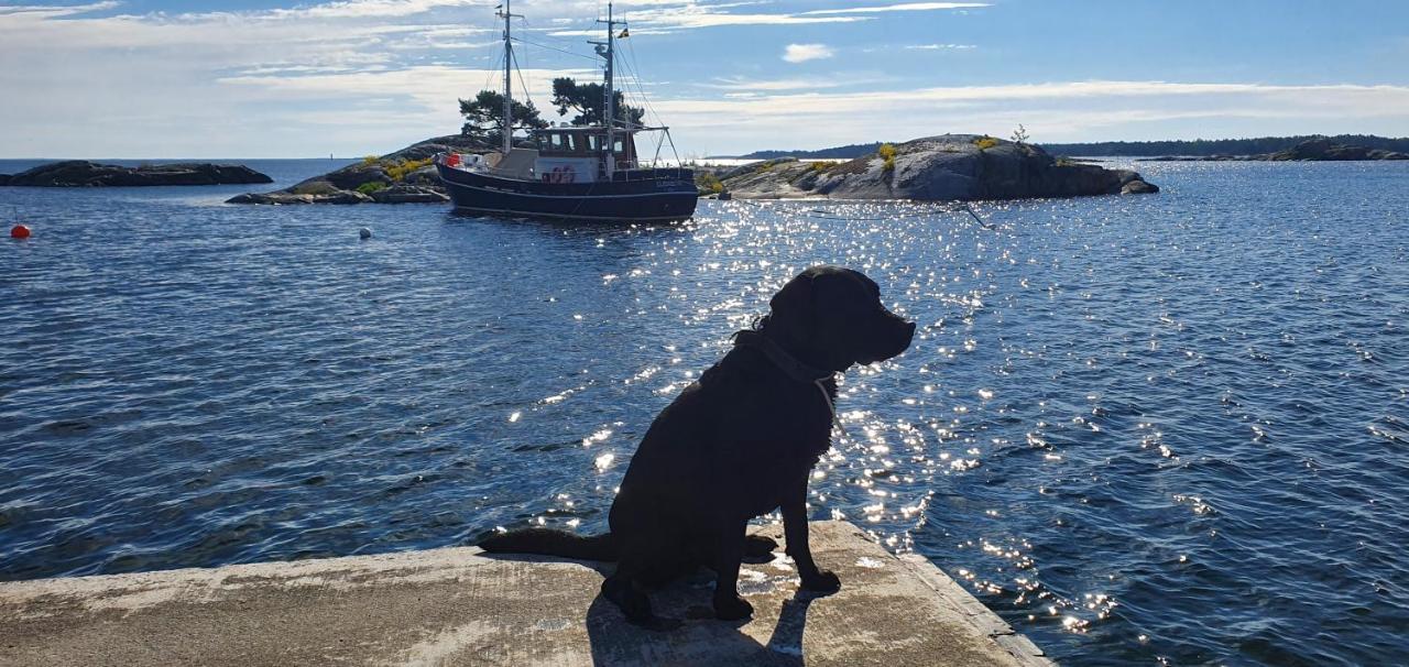 Moeja Stuga I Stockholms Skaergard Екстериор снимка